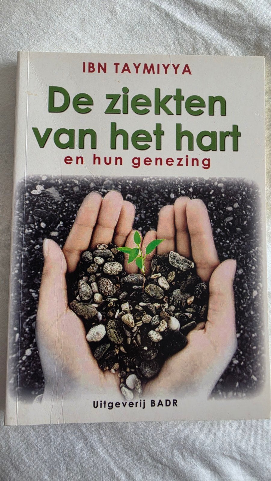 De ziekten van het hart en hun genezing - Ibn Taymiyya, Achtergrond en Informatie, Spiritualiteit algemeen, Ophalen of Verzenden
