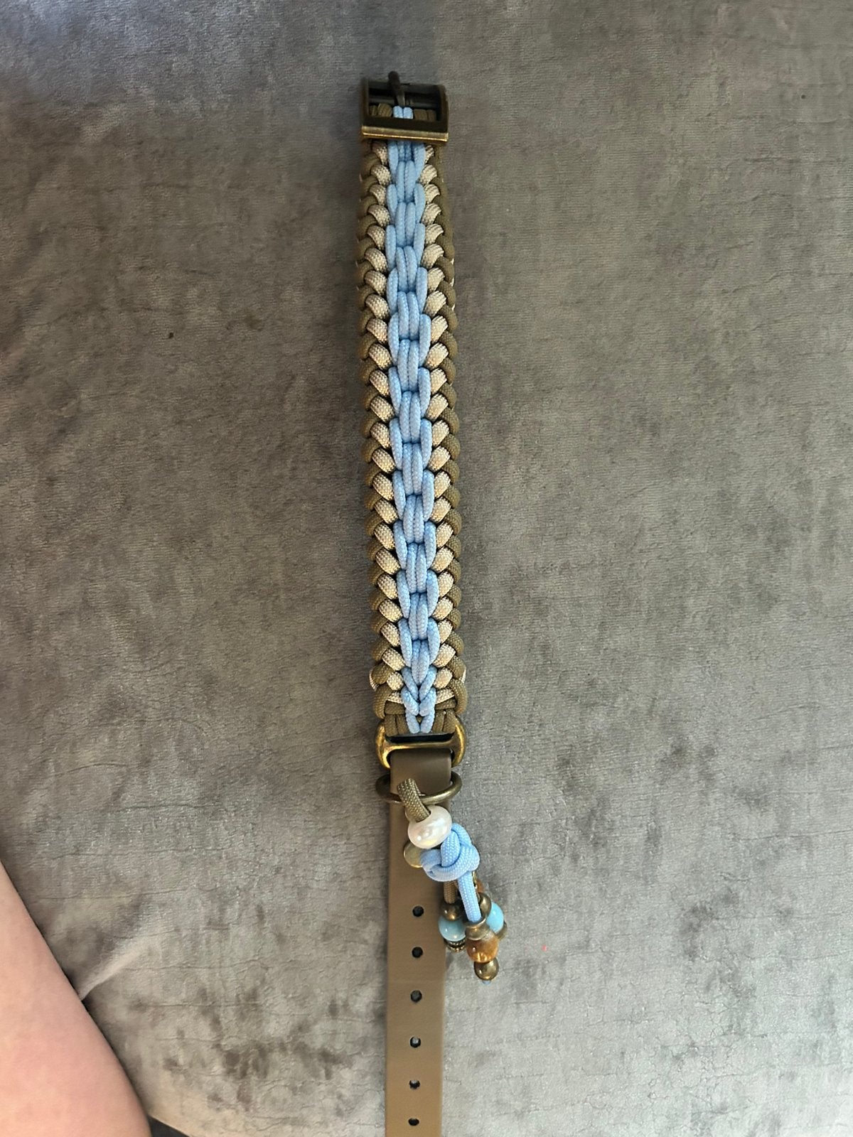 Honden halsband maat s, Ophalen, Nieuw