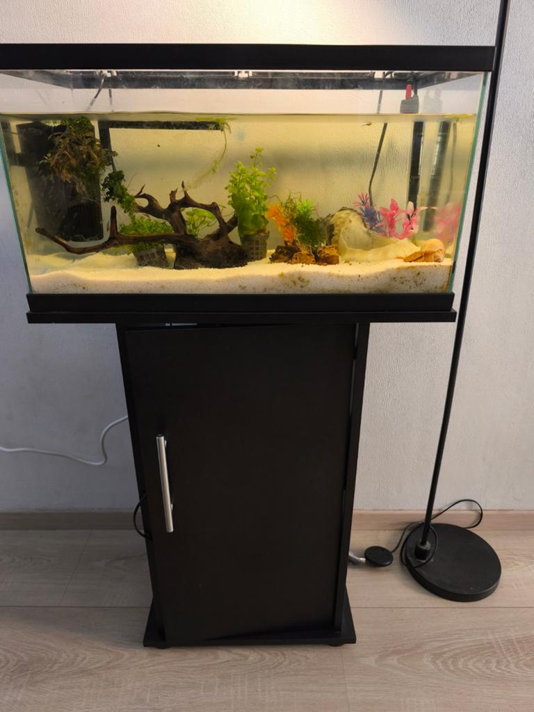 Aquarium 60cm, Dieren en Toebehoren, Vissen | Aquaria en Toebehoren, Gebruikt, Leeg aquarium, Ophalen