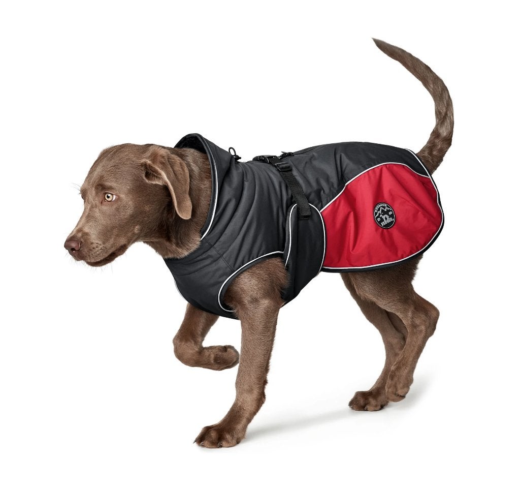 HUNTER Uppsala Cozy Hondenjas 60 cm Antraciet-Rood -35%!!!, Dieren en Toebehoren, Nieuw, Ophalen of Verzenden, Gevoerd, Hunter