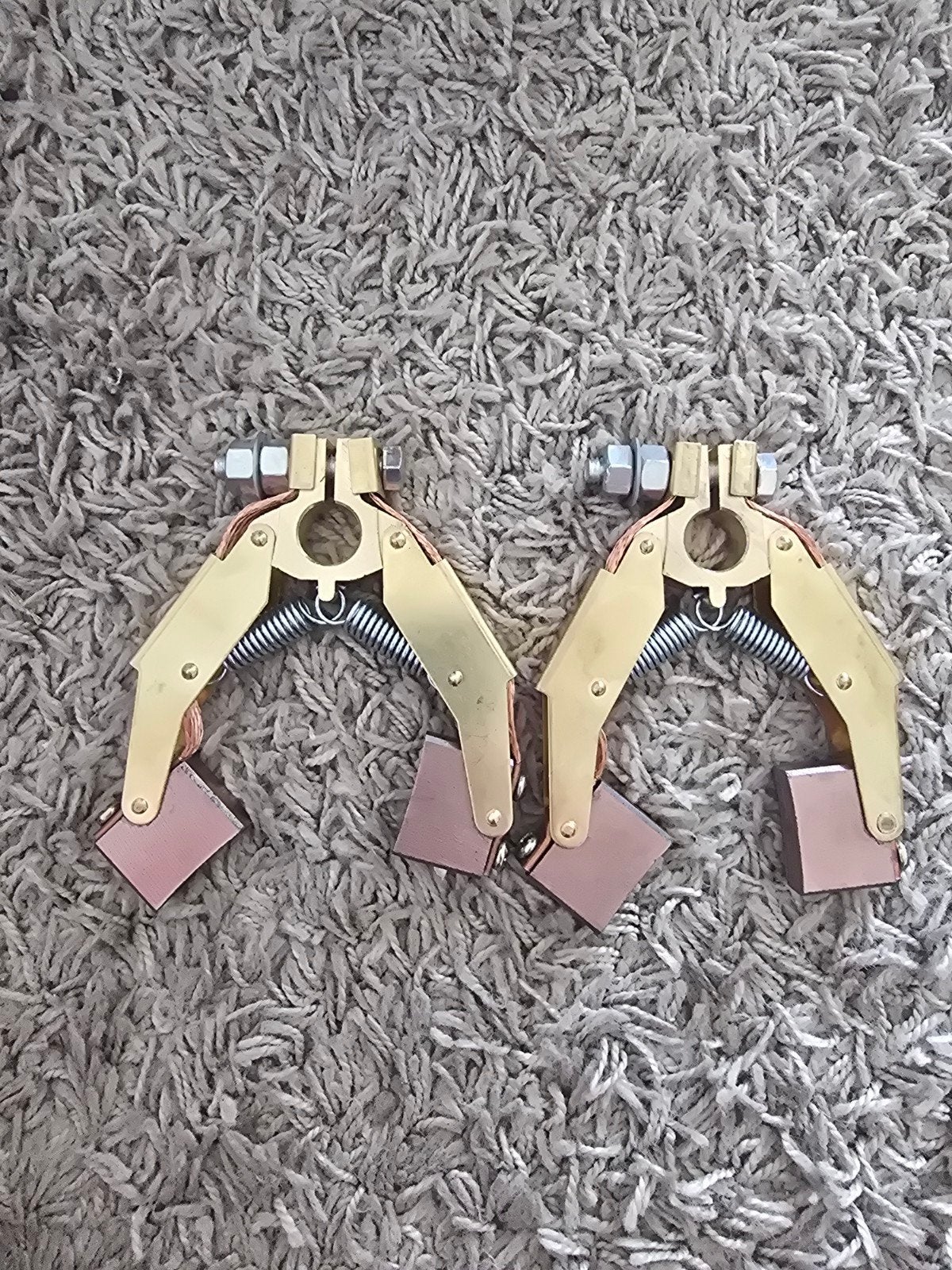 Koolborstels voor elektromotor (2 stuks), Ophalen of Verzenden, Nieuw, Overige typen