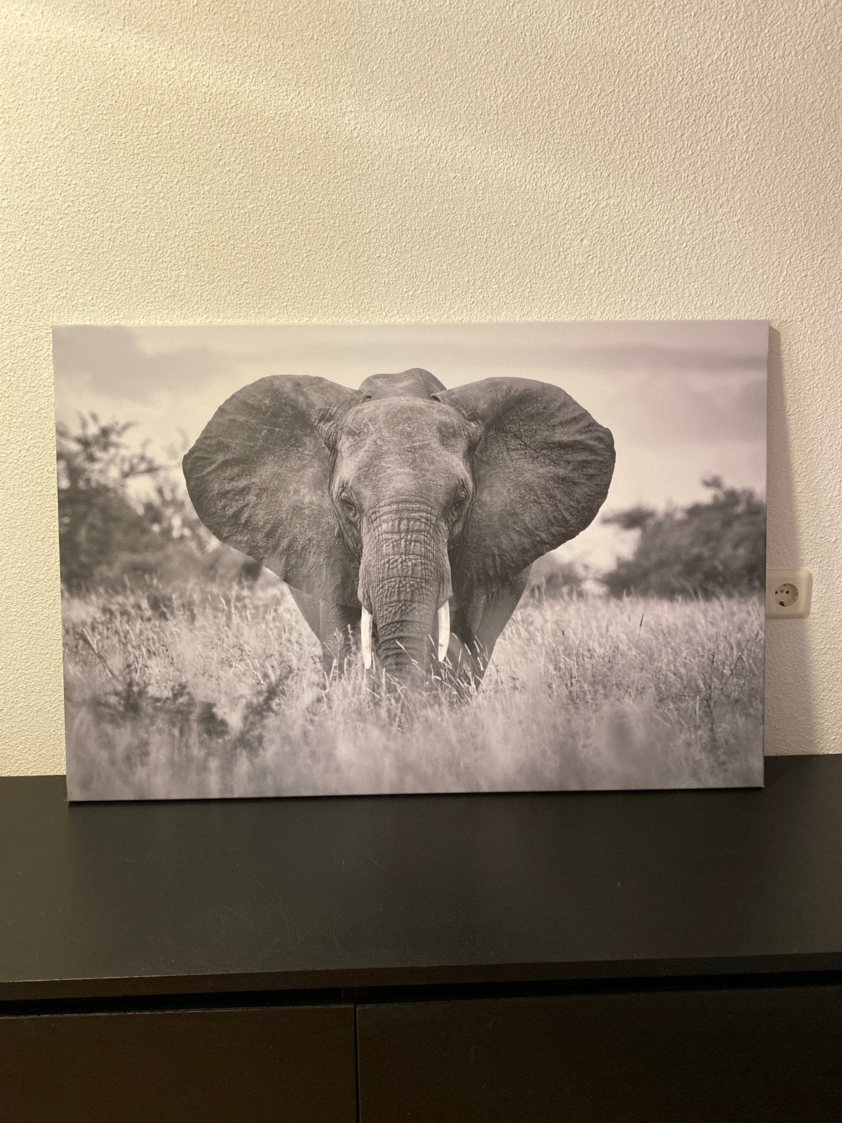 Canvas schilderij olifant zwart-wit, Ophalen, 50 – 75, Zo goed als nieuw, Schilderij