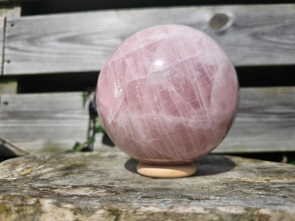 XXL rozenkwarts bol 125 mm, Ophalen of Verzenden