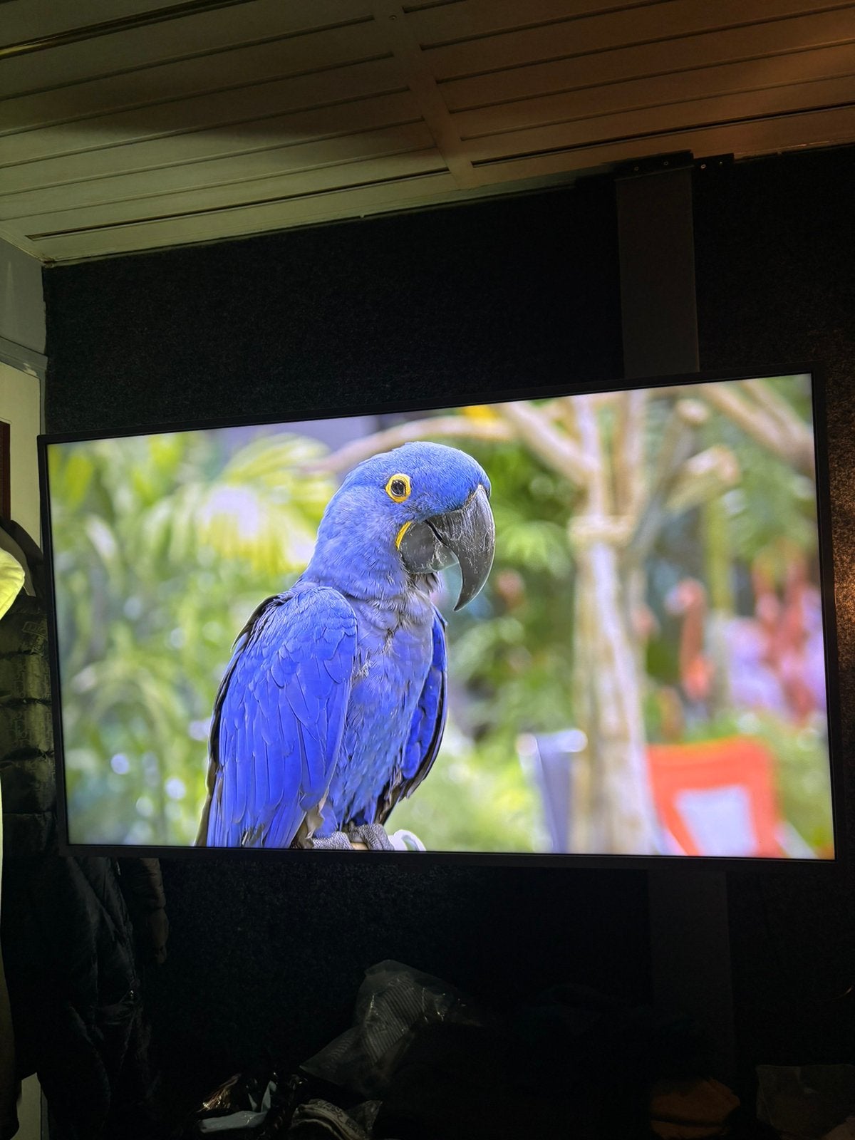 Philiphs ambilight 4k 55inch, Ophalen of Verzenden, Zo goed als nieuw, LED, Ultra HD (4K)