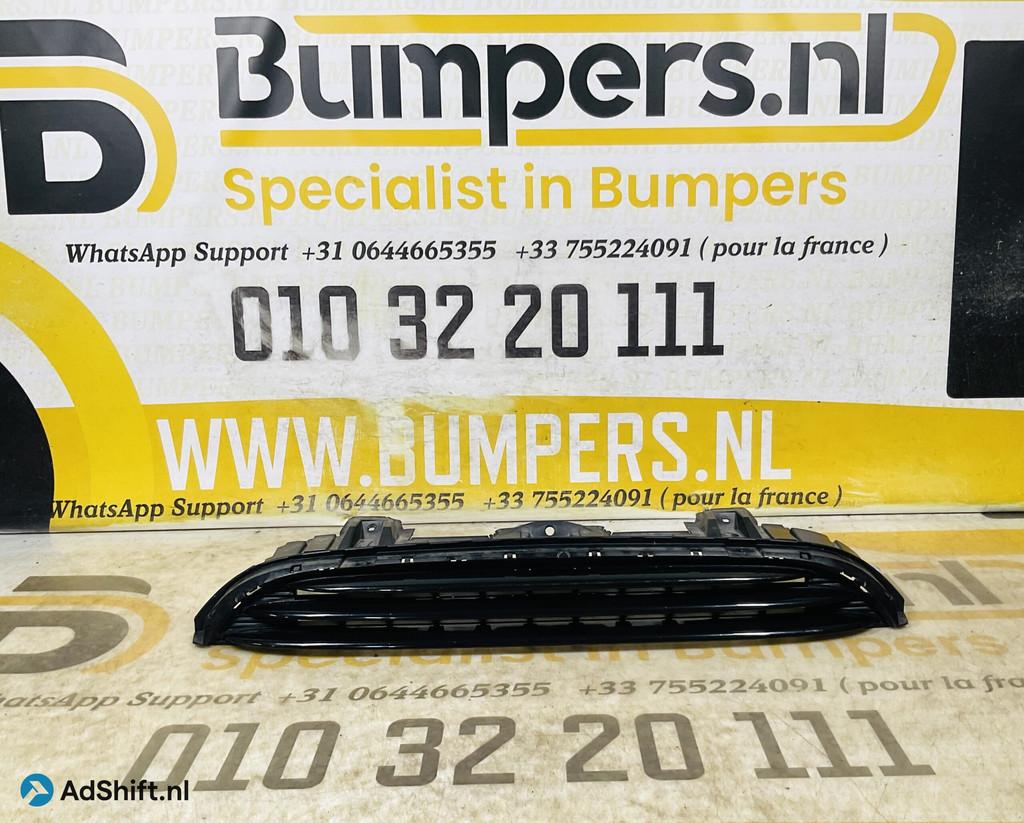 Grill Mini Cooper 2600000002595 Bumper grill 2-R8-12291