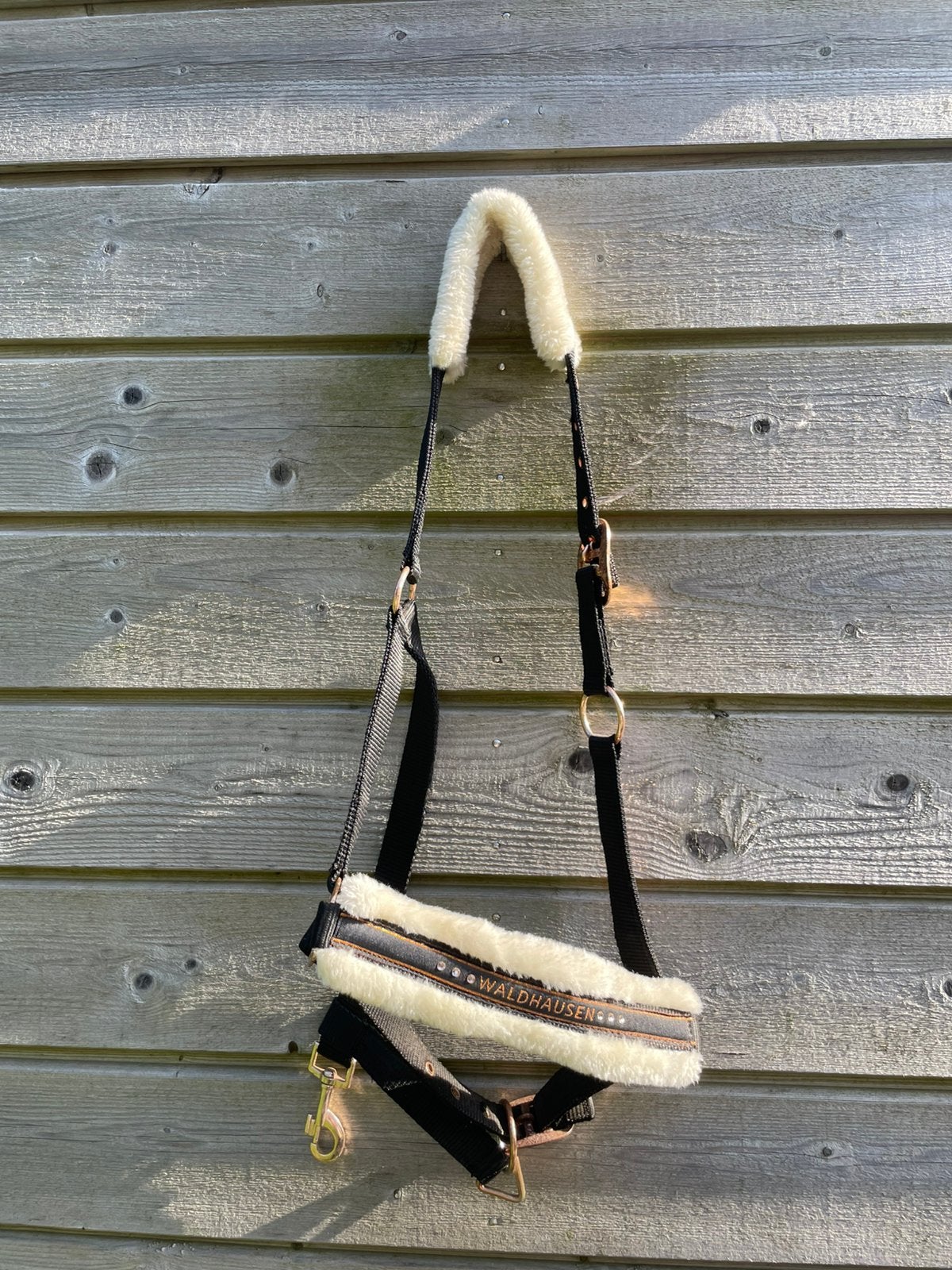 5x halsters maat COM, Dieren en Toebehoren, Ophalen of Verzenden, Gebruikt