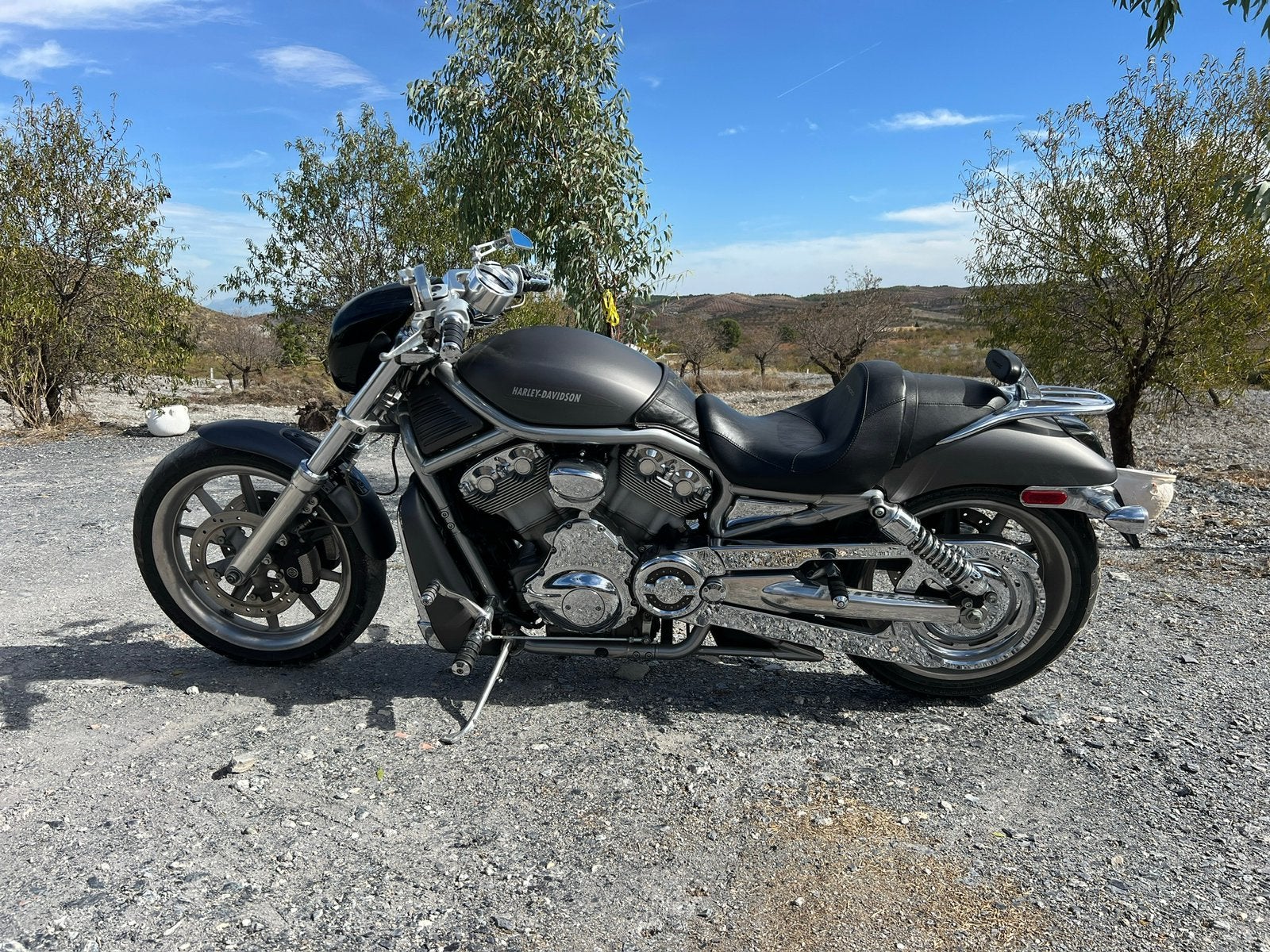 Harley Davidson VRSCA V-ROD (2006), Motoren, Motoren | Harley-Davidson, Particulier, Chopper, meer dan 35 kW, 2 cilinders, Motorrijbewijs A