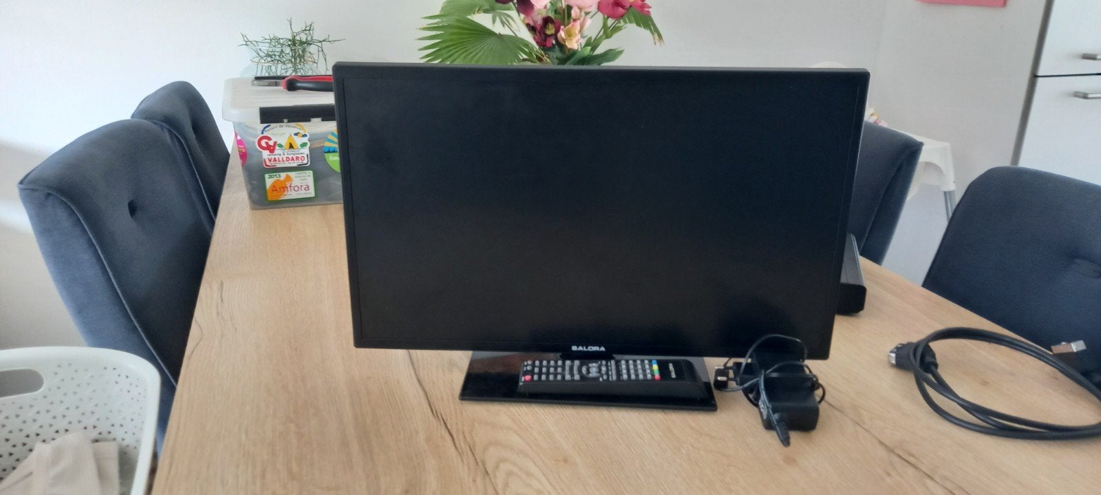 Salora tv met ingebouwde dvd speler, Gebruikt, 50 Hz, 40 tot 60 cm, Ophalen