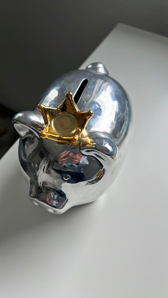 Spaarpot zilveren varken met gouden kroon, Ophalen, Zo goed als nieuw, Steen, Aardewerk of Keramiek, Dier