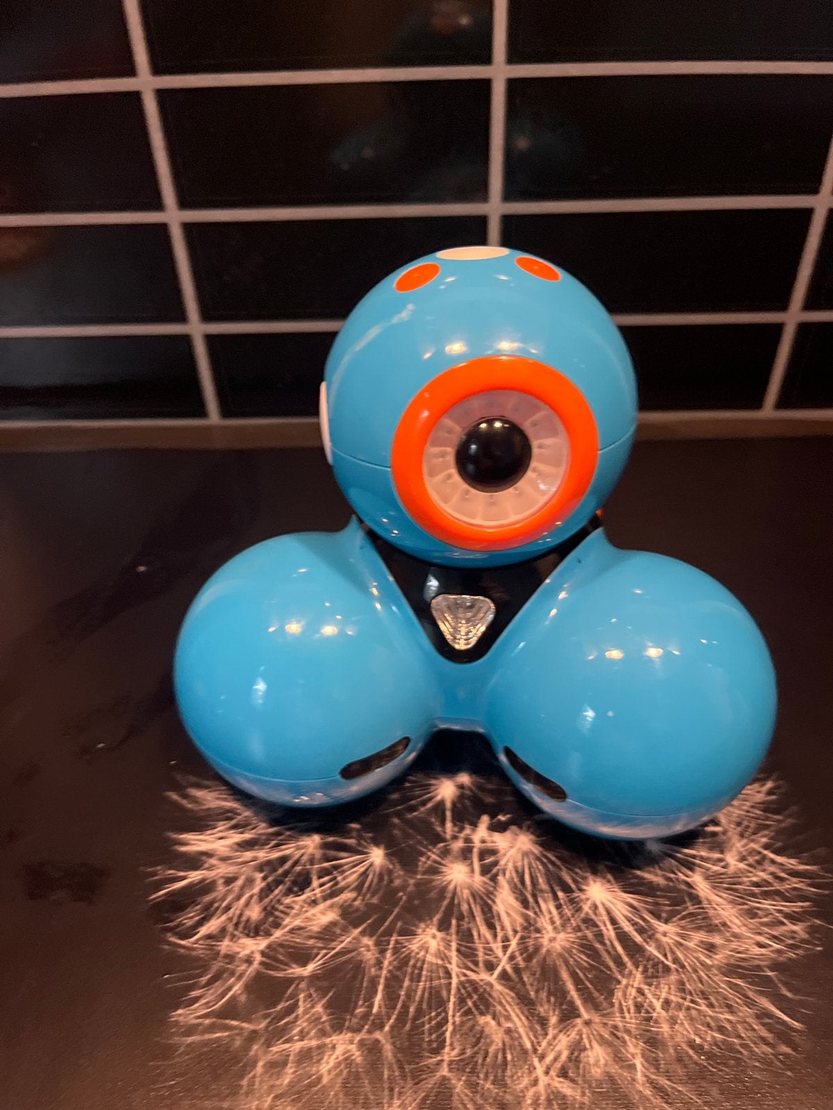 Dash Robot van Wonder Workshop - Programmeerbaar Speelgoed, Ophalen of Verzenden, Zo goed als nieuw, Jongen of Meisje
