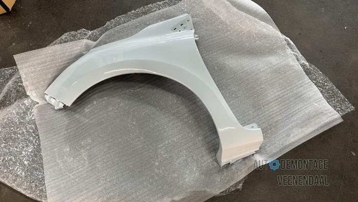 Scherm links-voor van een Renault Clio (OV369), -, Renault, -, Nieuw