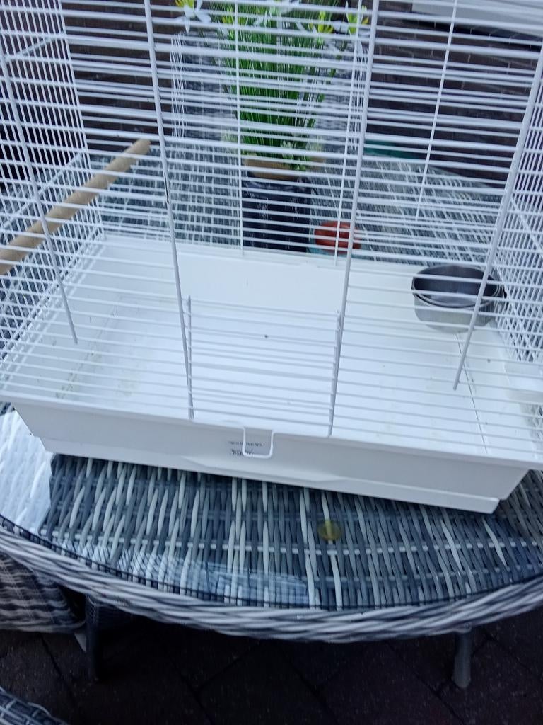 Te koop vogel Kooi, Ophalen, Zo goed als nieuw, Metaal, Vogelkooi