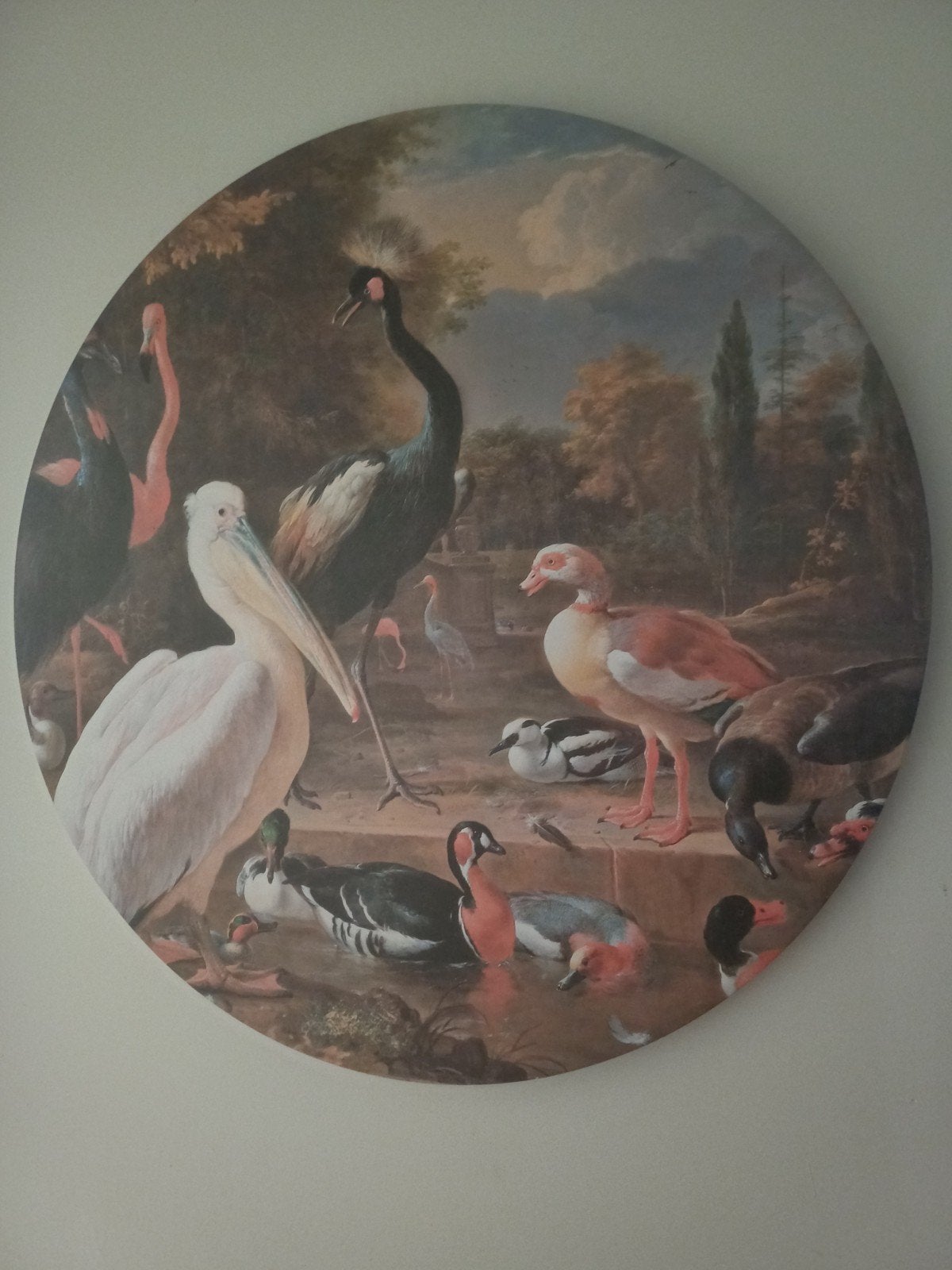 Rond canvas het drijvend veertje, Ophalen