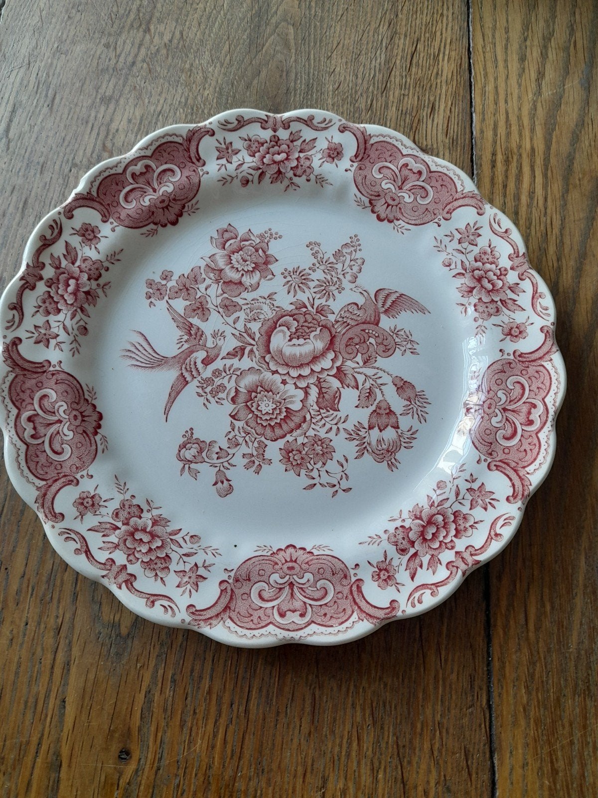 Antiek Ridgeway Windsor bord - Rood bloemenpatroon, Ophalen