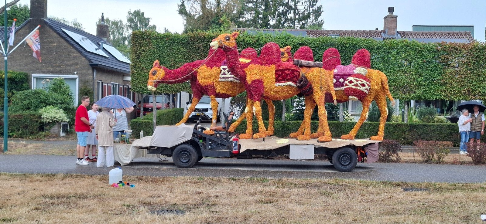 3 kamelen bloemencorso wagen praalwagen carnaval, Hobby en Vrije tijd, Ophalen, Nieuw, Overige typen, Carnaval