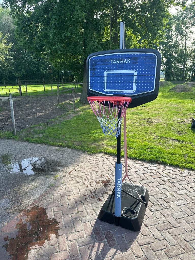 Tarmak basketbalpaal met verstelbare hoogte, Ophalen of Verzenden, Gebruikt