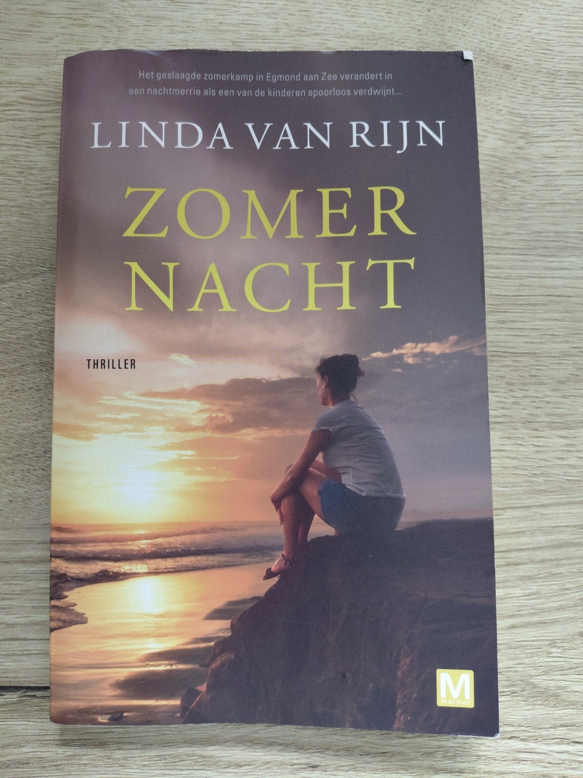 Zomernacht - Linda van Rijn (Thriller), Boeken, Ophalen of Verzenden, Zo goed als nieuw, Linda van Rijn, Nederland