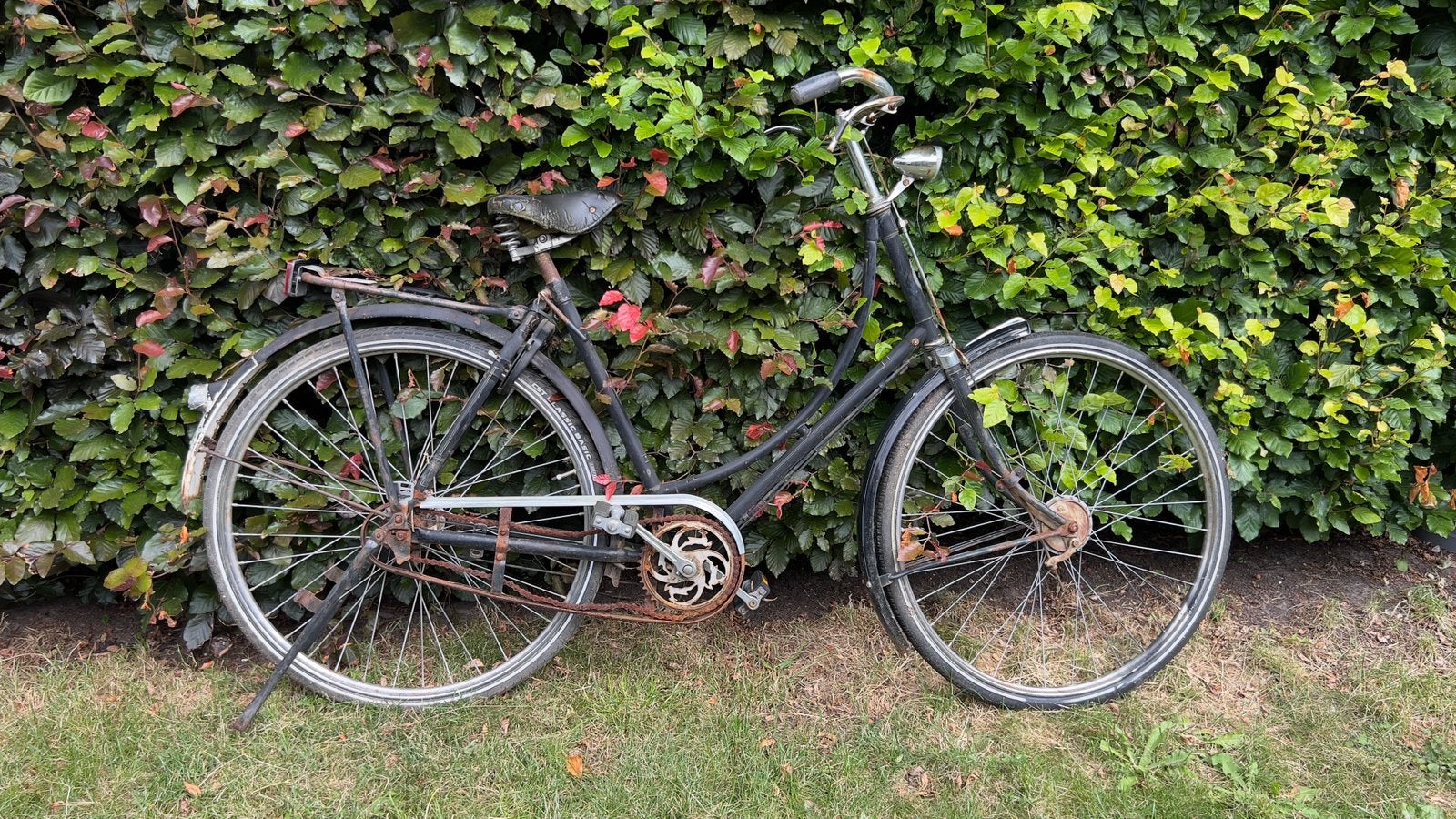 Gazelle omafiets 1950-1960, Ophalen, Handrem, Trommelrem, 53 tot 56 cm
