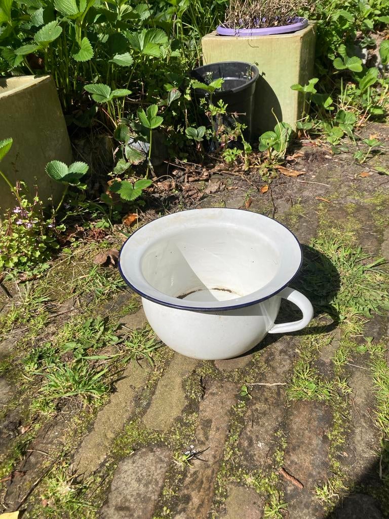 Vintage Emaille Po als Plantenpot - Wit met Blauwe Rand, Ophalen