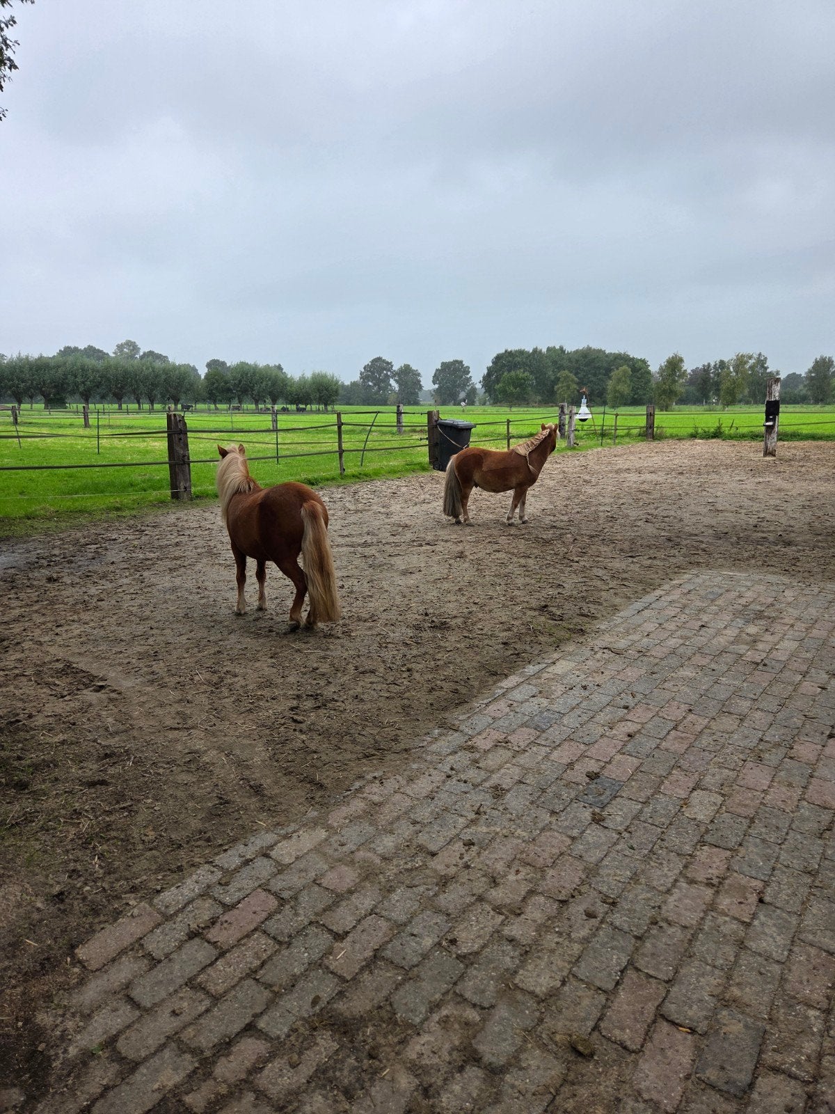 Stalling Nijkerk/Putten Max C pony, Ophalen, Nieuw