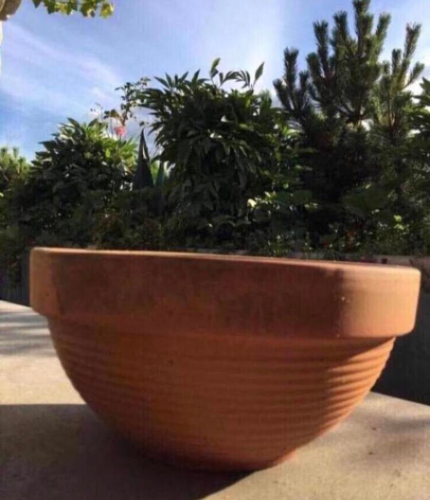 Diverse Italiaanse terracotta bloempotten stevige potten, Gebruikt, Rond, Ophalen of Verzenden, Balkon