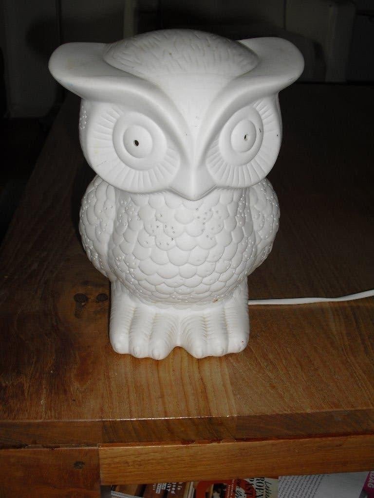 TE KOOP MOOIE ELEKTRISCHE UIL LAMP, Ophalen of Verzenden