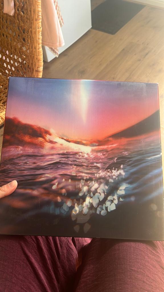 Bonobo lp, Ophalen of Verzenden, Zo goed als nieuw, Overige formaten