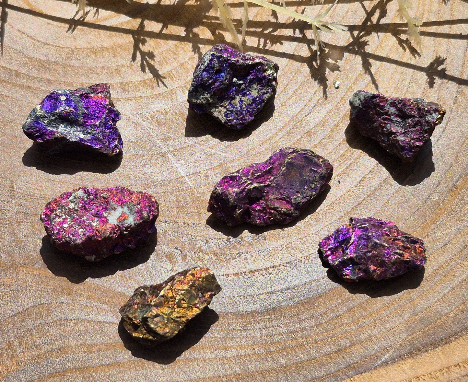 Chalcopyriet uit Mexico XL, Ophalen of Verzenden, Mineraal