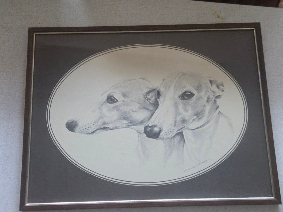 Prachtige ingelijste potloodtekening van twee windhonden, Verzamelen, Ophalen of Verzenden, Gebruikt, Hond of Kat, Overige typen