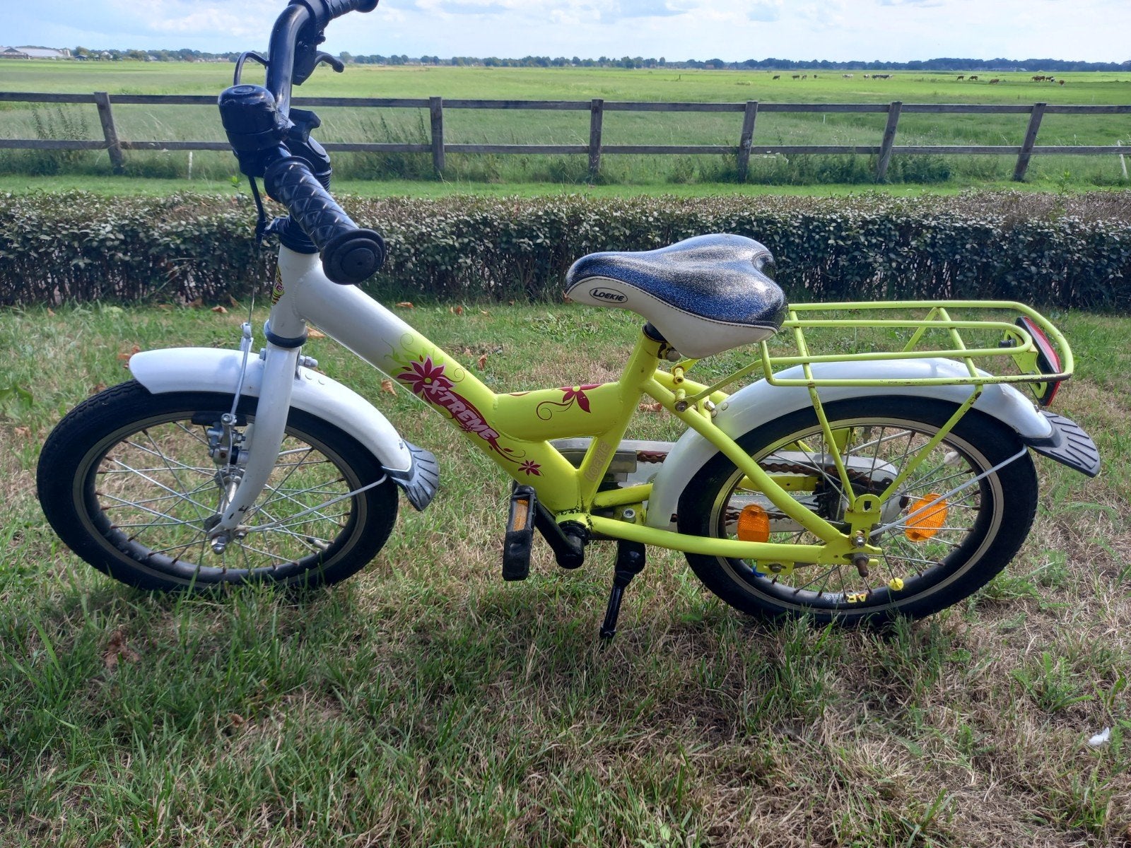 meisjes fiets, Ophalen, Gebruikt, 16 tot 20 inch