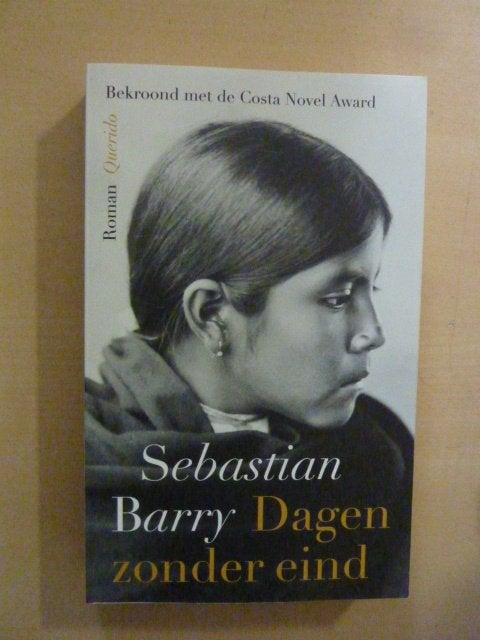 Sebastiaan Barry - Dagen zonder eind, Verzenden, Zo goed als nieuw