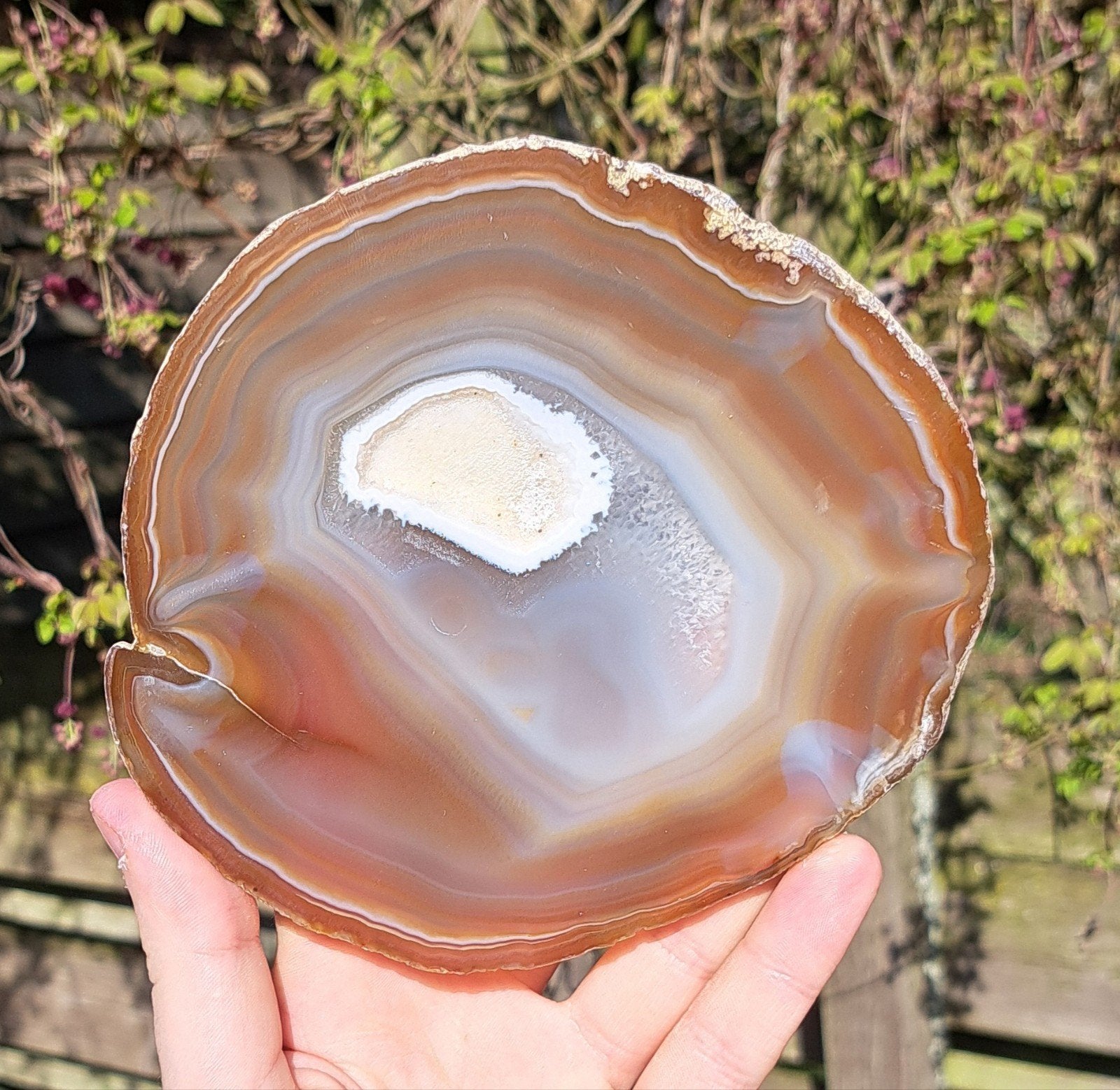 Grote Agaatschijf met kristalletjes edelsteen natuursteen, Ophalen of Verzenden