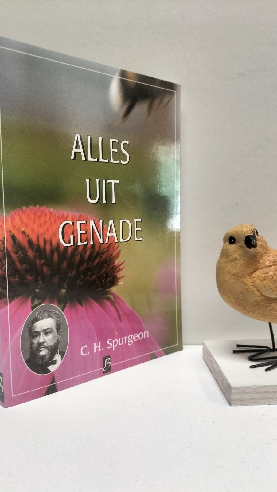 Spurgeon, C.H. Alles uit genade (nr 24 Boekhout, Ophalen of Verzenden, Gelezen, Christendom | Protestants