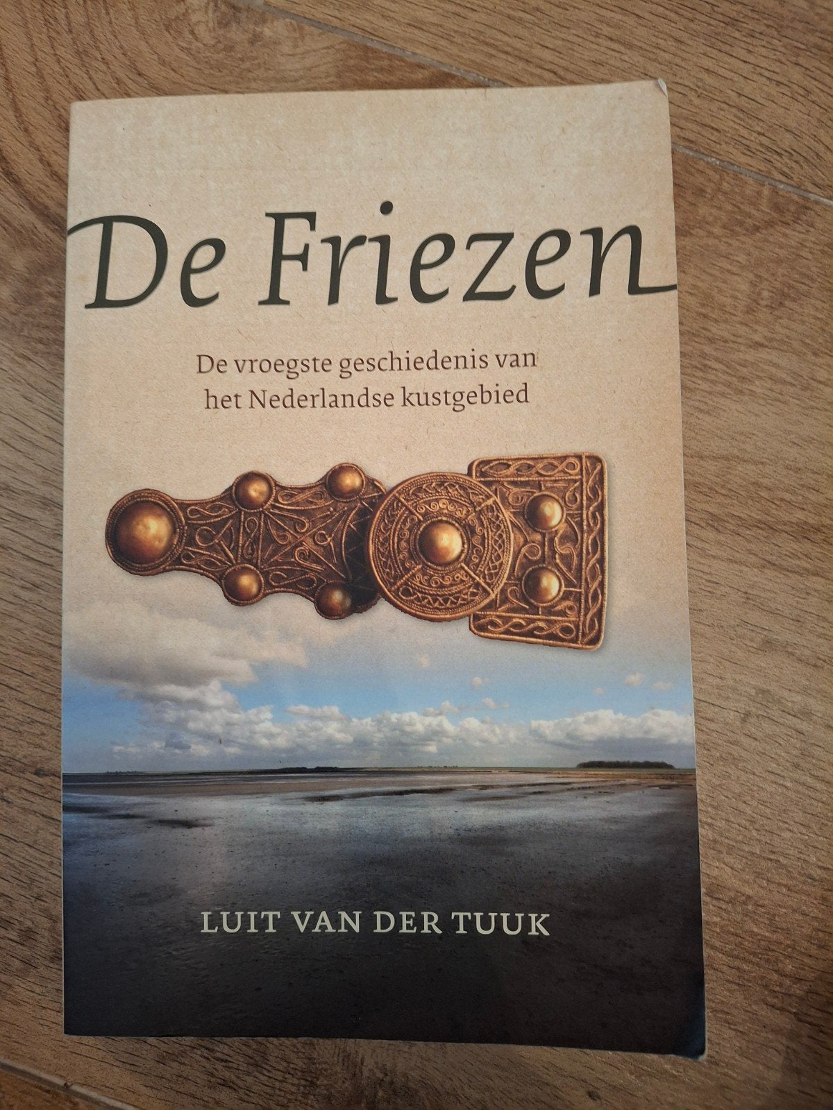 Luit van der Tuuk - De Friezen, Ophalen of Verzenden, Zo goed als nieuw, Luit van der Tuuk