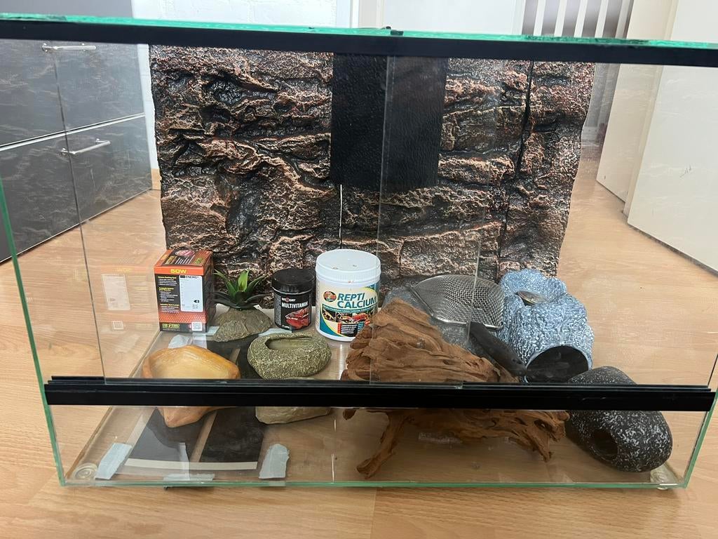 Terrarium 60x40x40 met div. accessoires, Dieren en Toebehoren, Ophalen, Zo goed als nieuw