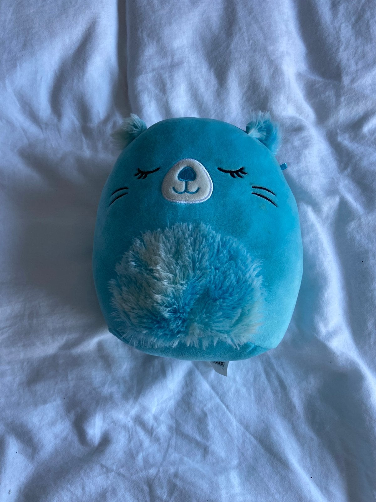 Squishmallow blauwe bever knuffel, Overige karakters, Overige typen, Blauw, Ophalen of Verzenden