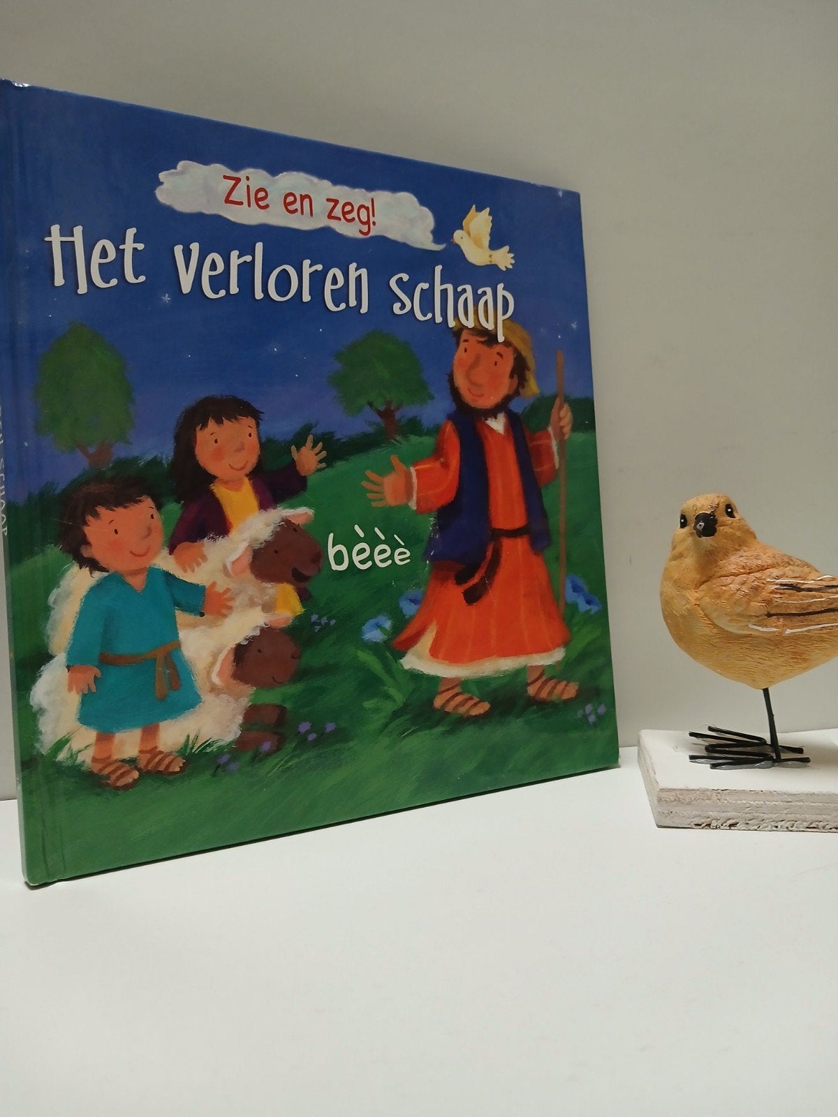 Goodings, Christina; Zie en zeg!  Het verloren schaap, Ophalen of Verzenden, Gelezen, Christendom | Protestants