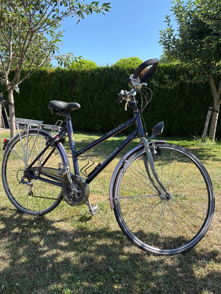 Damesfiets Batavus, Ophalen, Gebruikt, Velgrem, 47 tot 50 cm