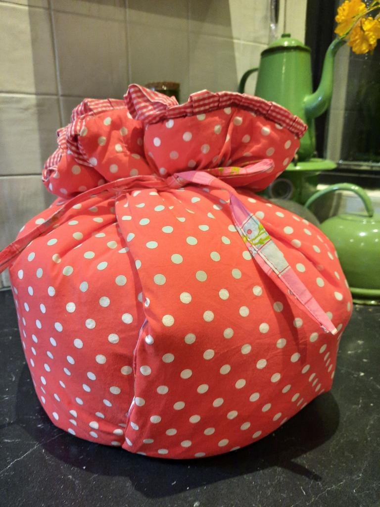 hooicooker stoofzak hooimadam yoghurtmaker slow cooker Pipst, Huis en Inrichting, Ophalen of Verzenden, Nieuw, Rood