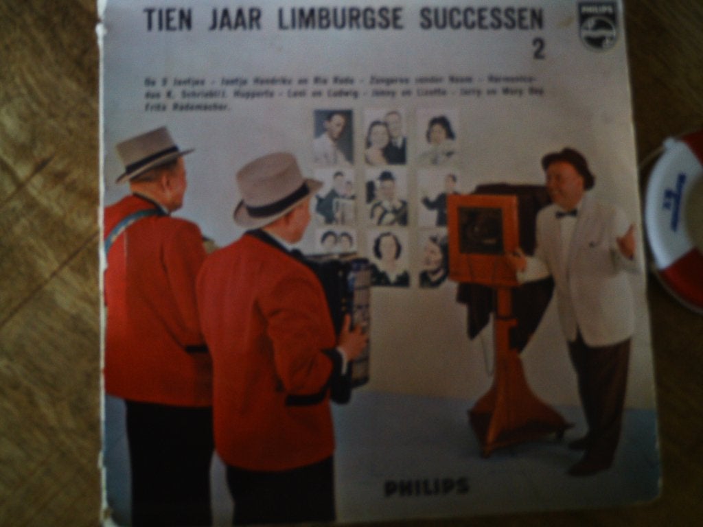 Tien Jaar Limburgse Successen 2 - Diverse Artiesten  6s, 7 inch, Ophalen of Verzenden, Zo goed als nieuw, Beschermende buitenhoes