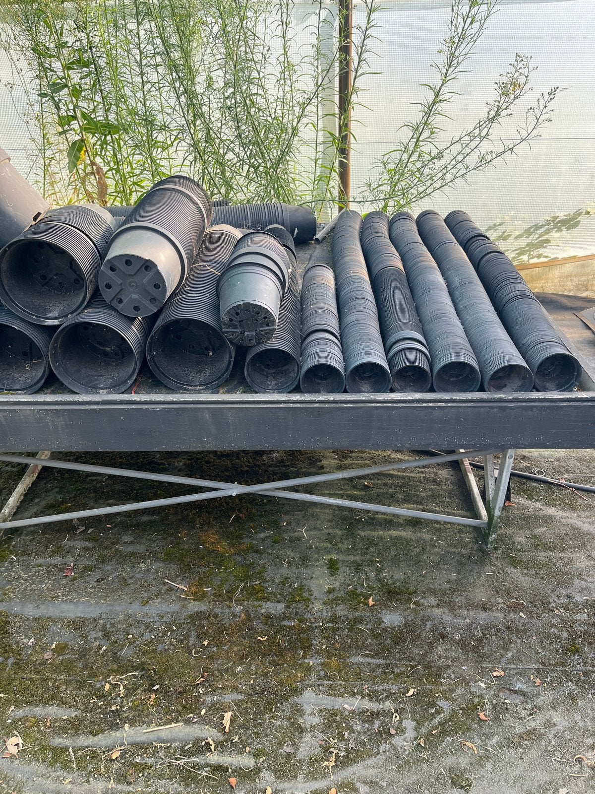 Kweekpotten voor planten - Diverse maten, Kunststof, Gebruikt, Rond, Binnen