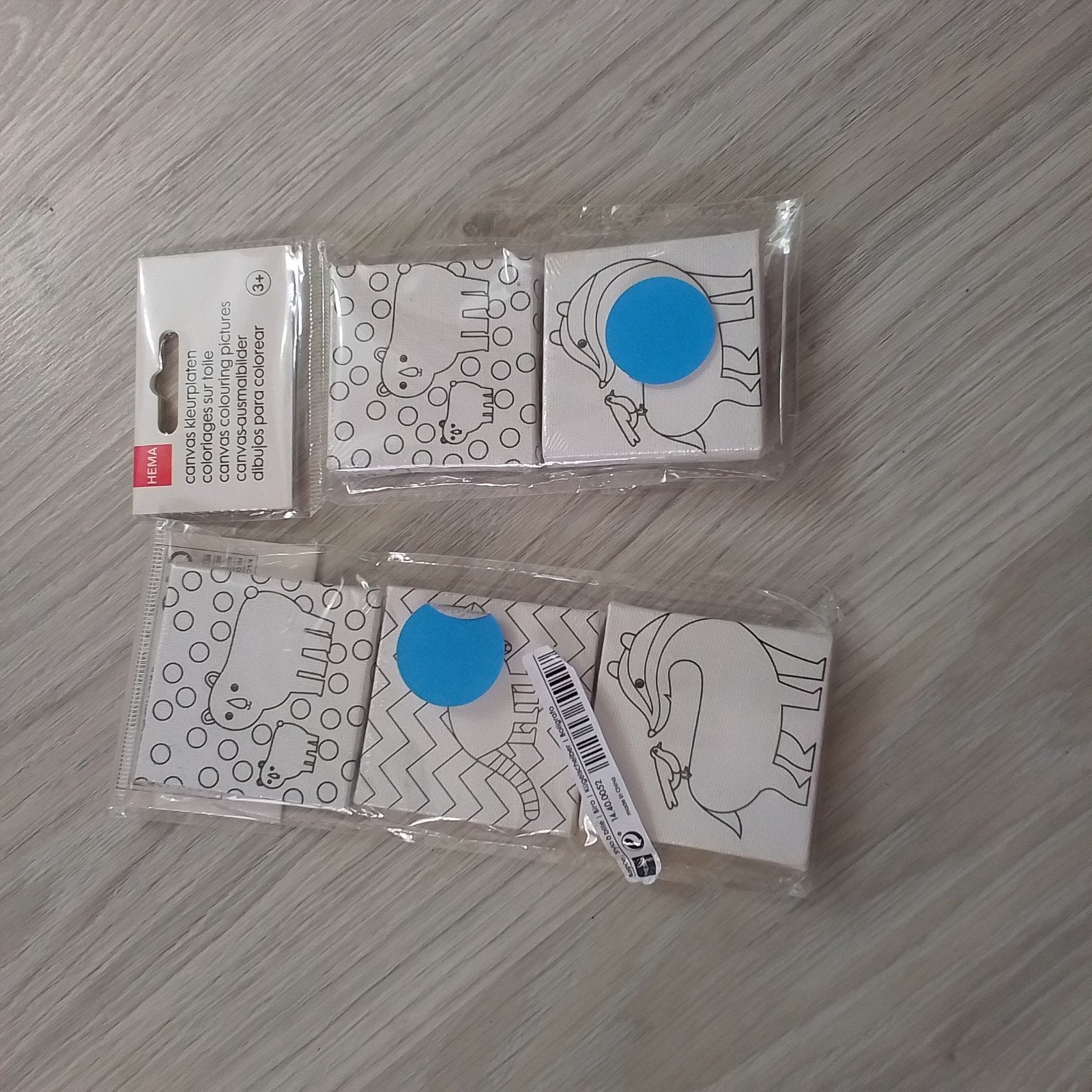 canvas  schilderijtjes, Ophalen of Verzenden, Nieuw