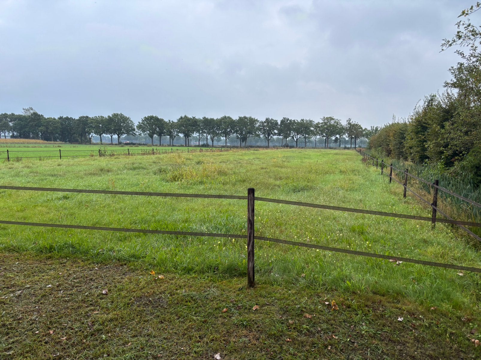 Weidegang paarden aangeboden: nog plaats voor 1 paard), Dieren en Toebehoren, Weidegang