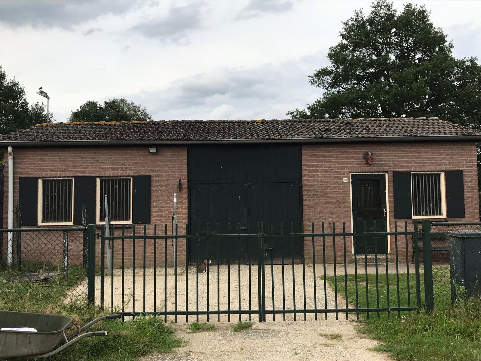 Stallen vrij pensionstal Oerle, Veldhoven, Stalling, 2 of 3 paarden of pony's