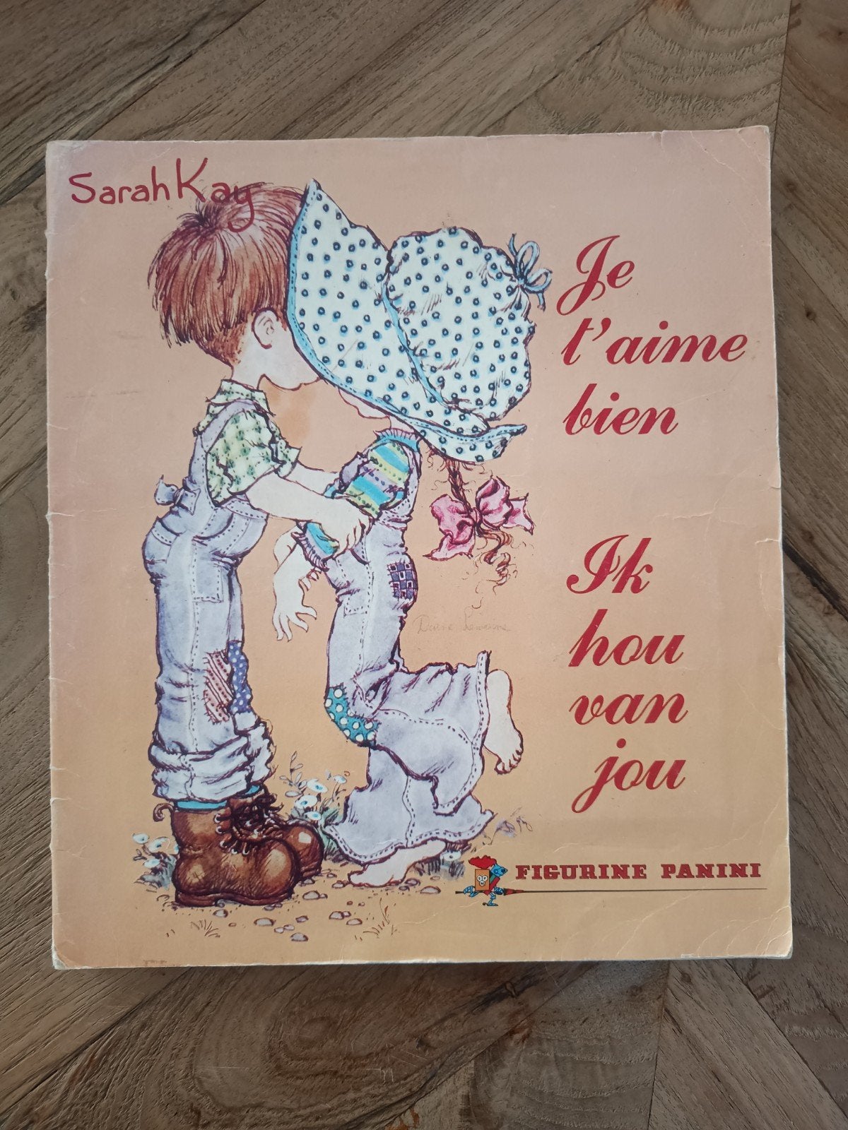 Sarah Kay Panini Plaatjesalbum -  Compleet!, Boeken, Ophalen of Verzenden, Gelezen, Plaatjesalbum