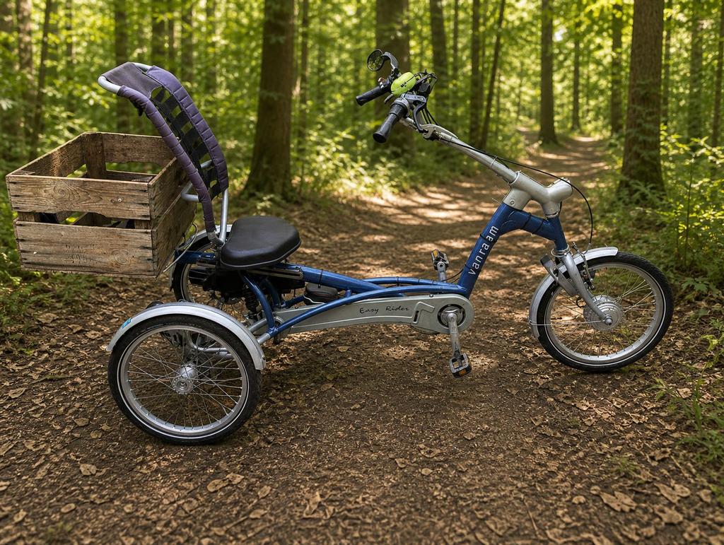Van Raam easy rider electrische ondersteuning driewieler, Fietsen en Brommers, Elektrische fietsen, Minder dan 47 cm, Ophalen