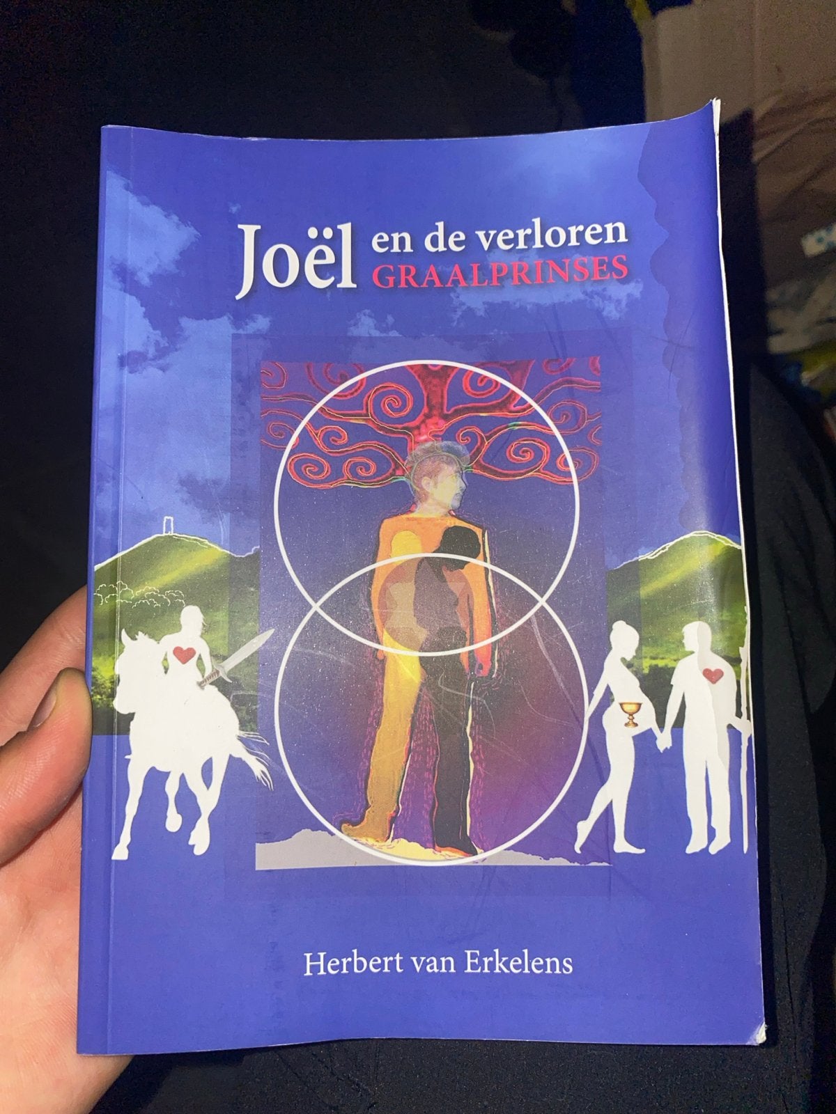 Joël en de verloren Graalprinses - Herbert van Erkelens, Ophalen of Verzenden, Zo goed als nieuw