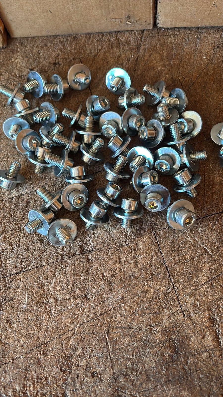 Te Koop rvs boutjes, Ophalen, 100 tot 250 mm, Schroeven, Nieuw