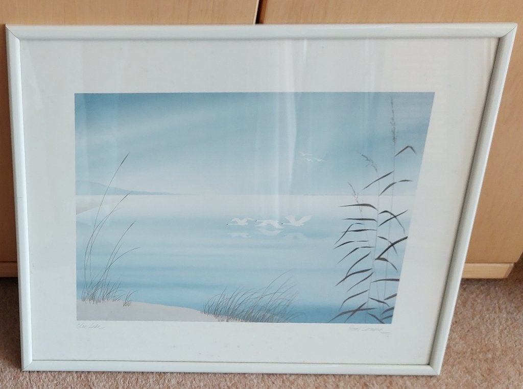 Lijst 'Blue Lake' - afbeelding van Henri Leonard - 52x42 cm., Huis en Inrichting, Ophalen, Met glas, Kunststof, Gebruikt