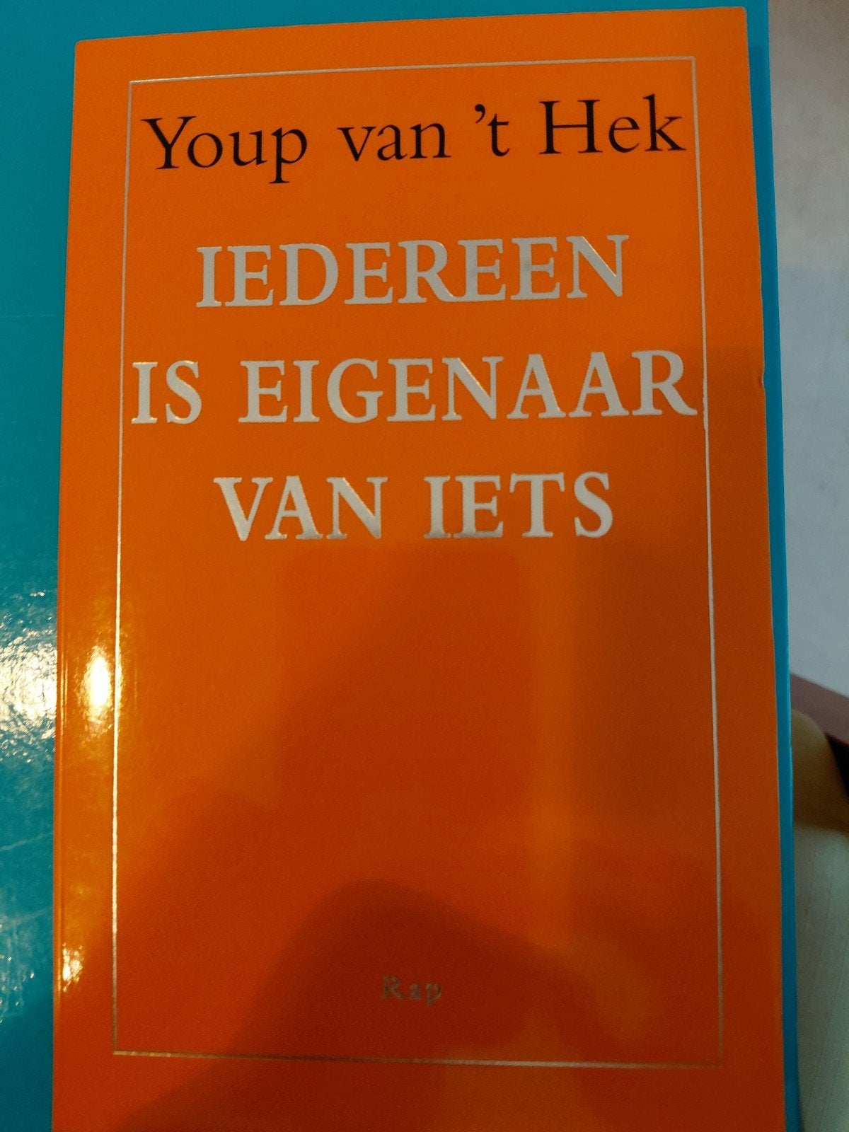 Youp van 't Hek - Iedereen is eigenaar van iets, Ophalen of Verzenden, Zo goed als nieuw, Youp van 't Hek